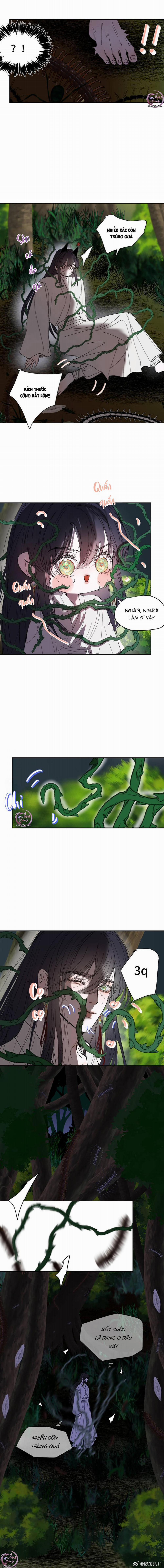 Vài Câu Chuyện Với Sư Tôn Sau Khi Xuyên Sách 52 trang 2