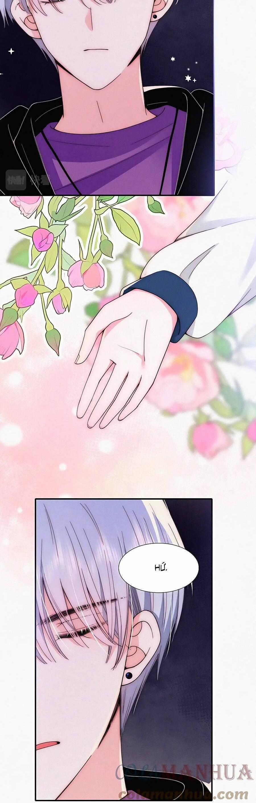 Vẫn Cứ Nuông Chiều 26 trang 12