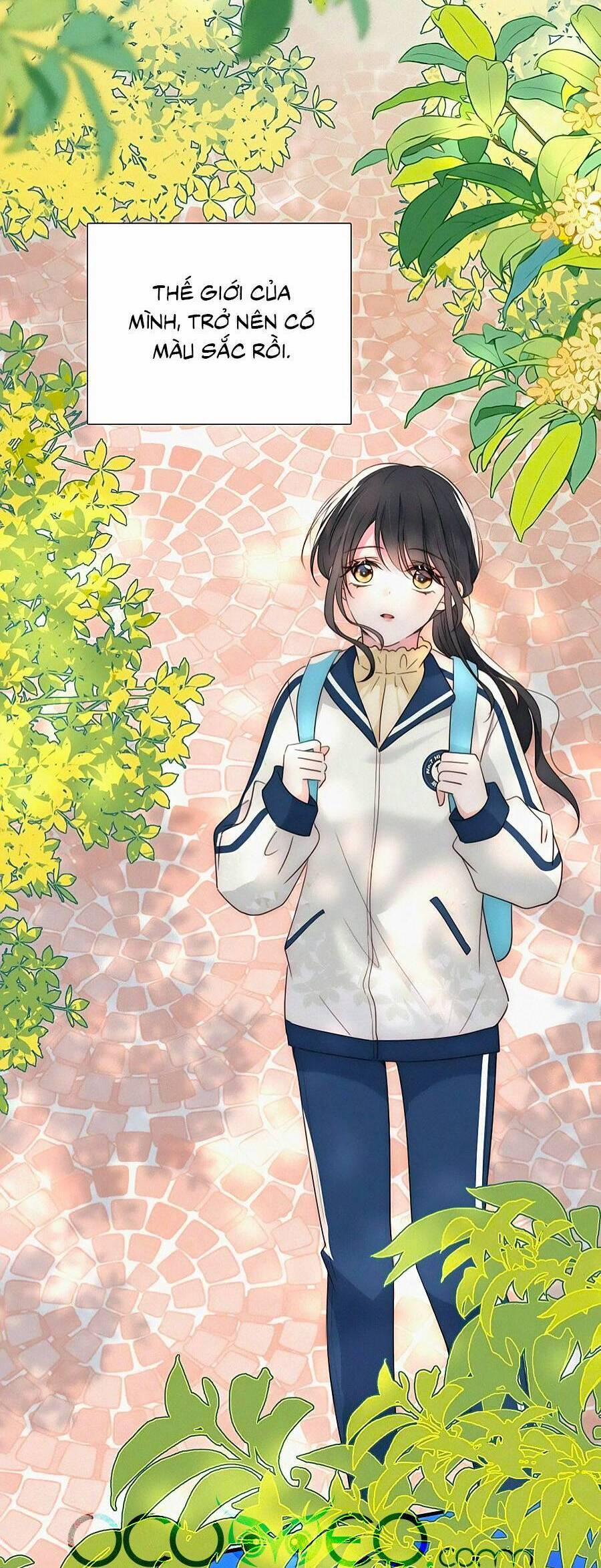 Vẫn Cứ Nuông Chiều 29 trang 20