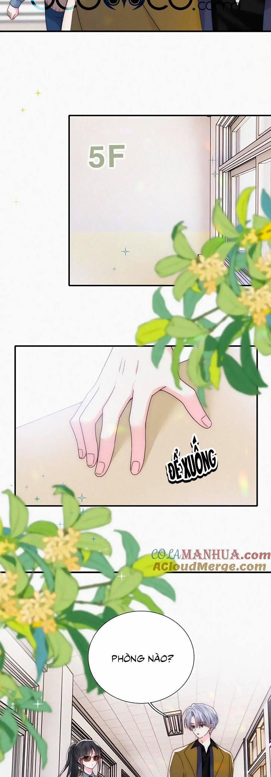 Vẫn Cứ Nuông Chiều 31 trang 18