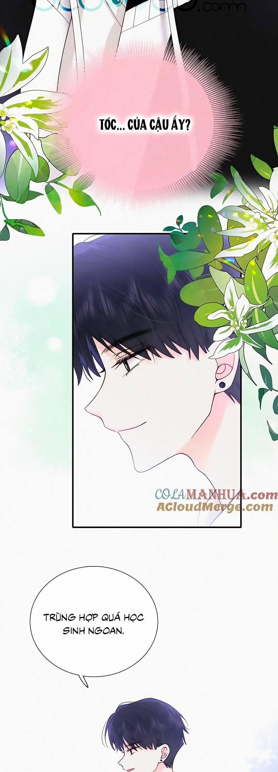 Vẫn Cứ Nuông Chiều 39 trang 18