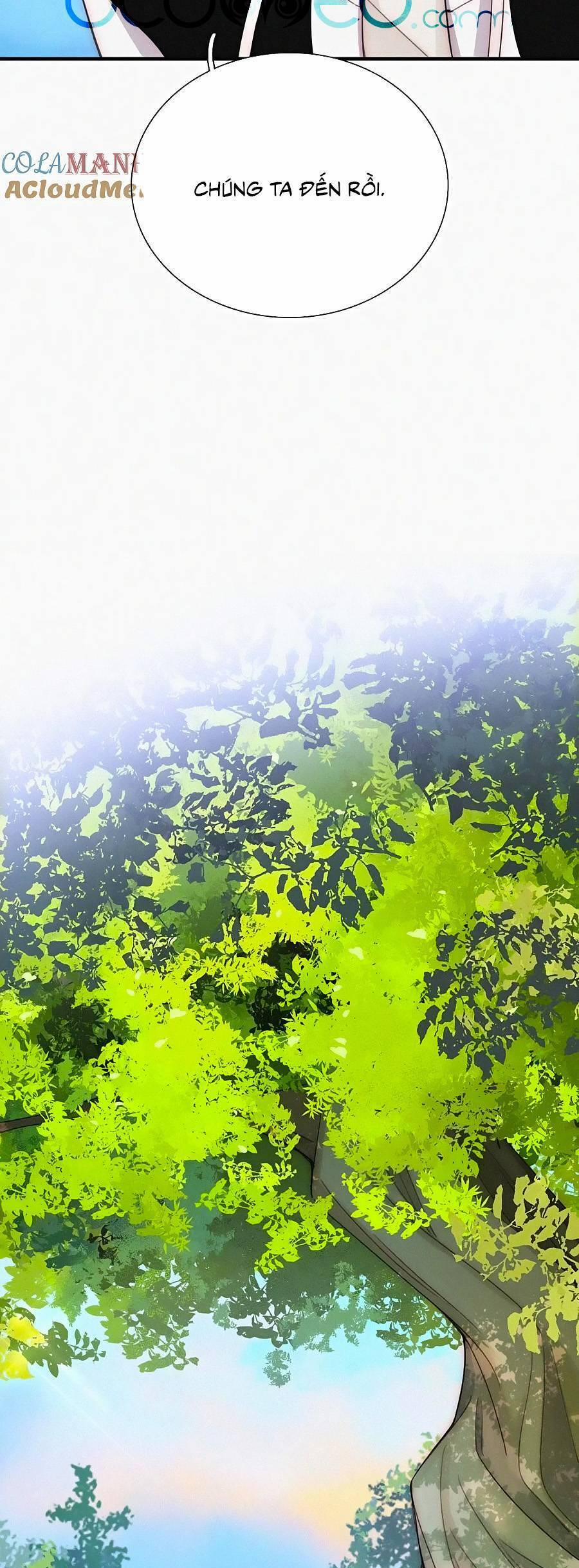 Vẫn Cứ Nuông Chiều 41 trang 17