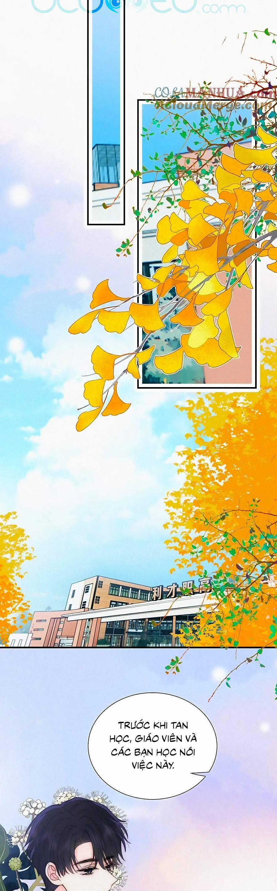 Vẫn Cứ Nuông Chiều 45 trang 17