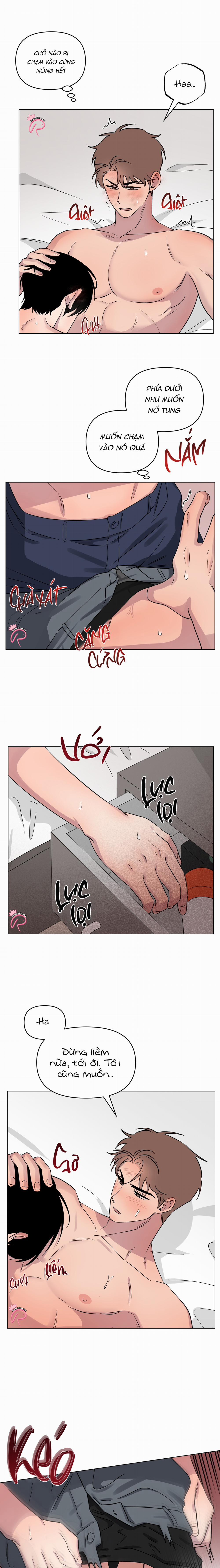 Vận May Nhất Đời 22 trang 3