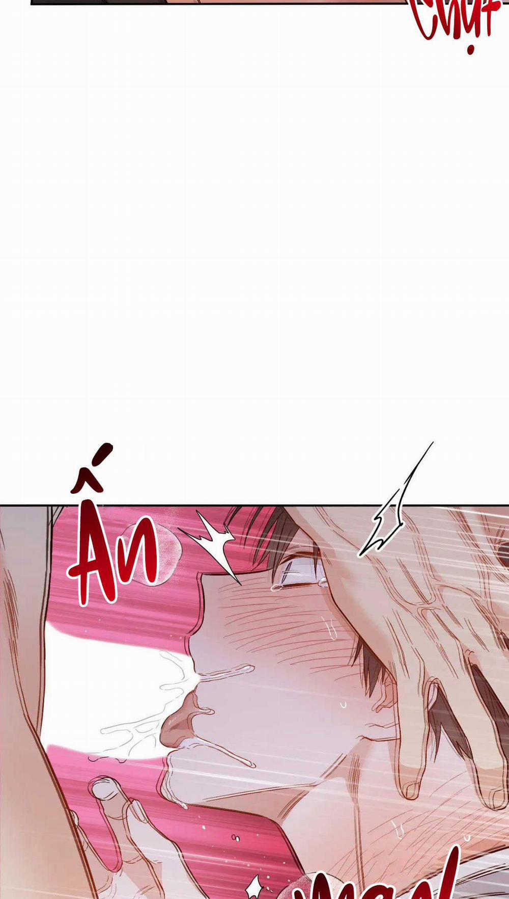 VẬN MỆNH CỦA CẬU LÀ GÌ? 2 trang 63