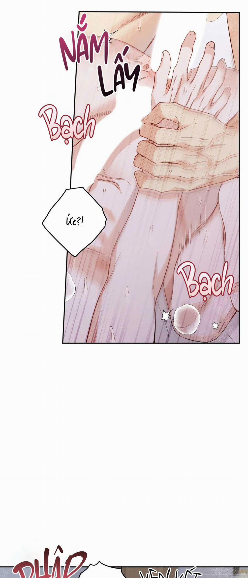 VẬN MỆNH CỦA CẬU LÀ GÌ? 3 trang 23