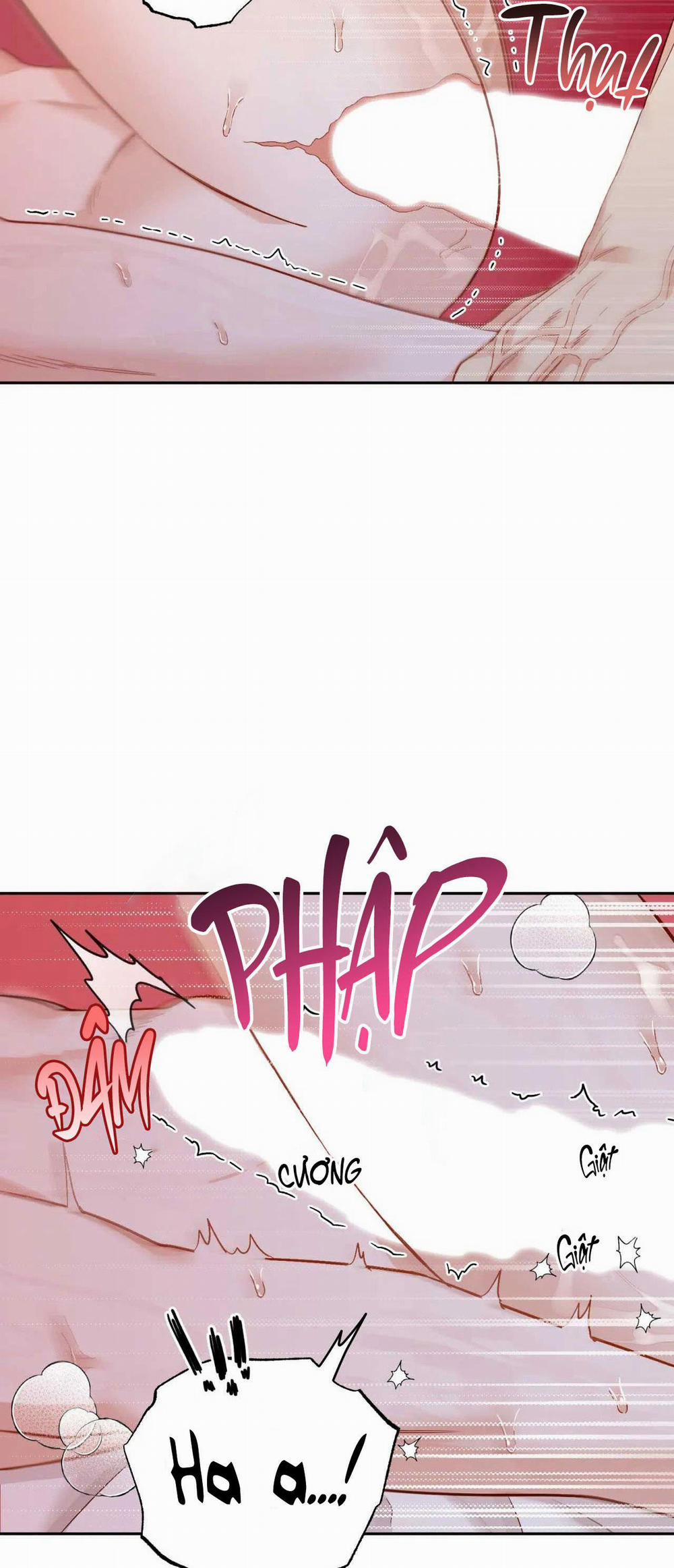 VẬN MỆNH CỦA CẬU LÀ GÌ? 3 trang 26