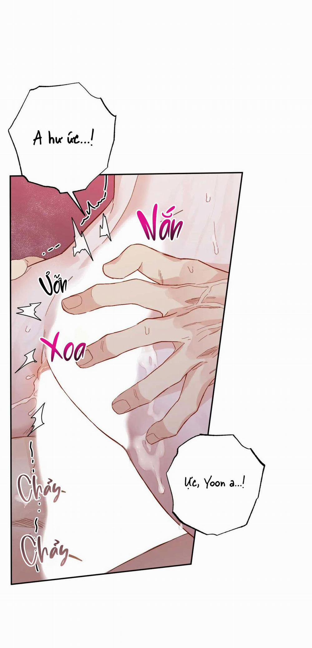 VẬN MỆNH CỦA CẬU LÀ GÌ? 3 trang 37