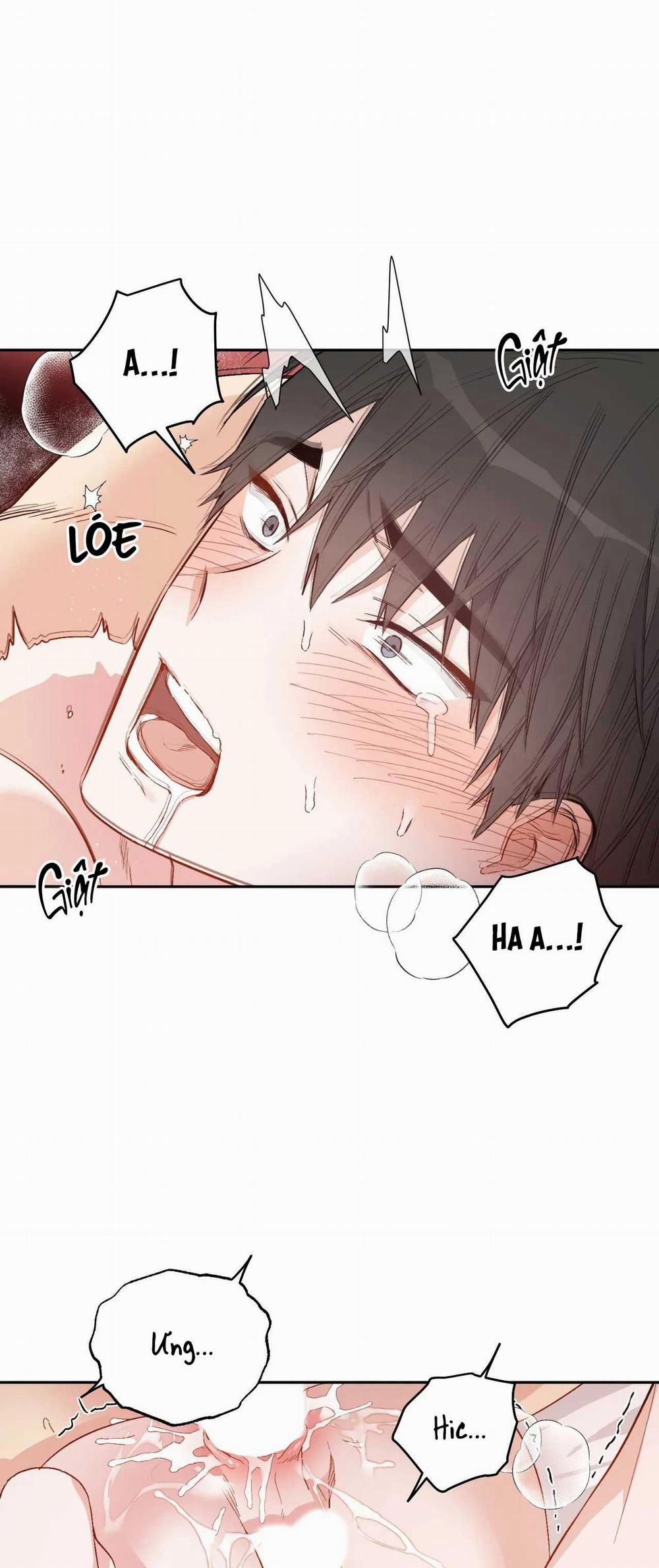 VẬN MỆNH CỦA CẬU LÀ GÌ? 4 trang 21