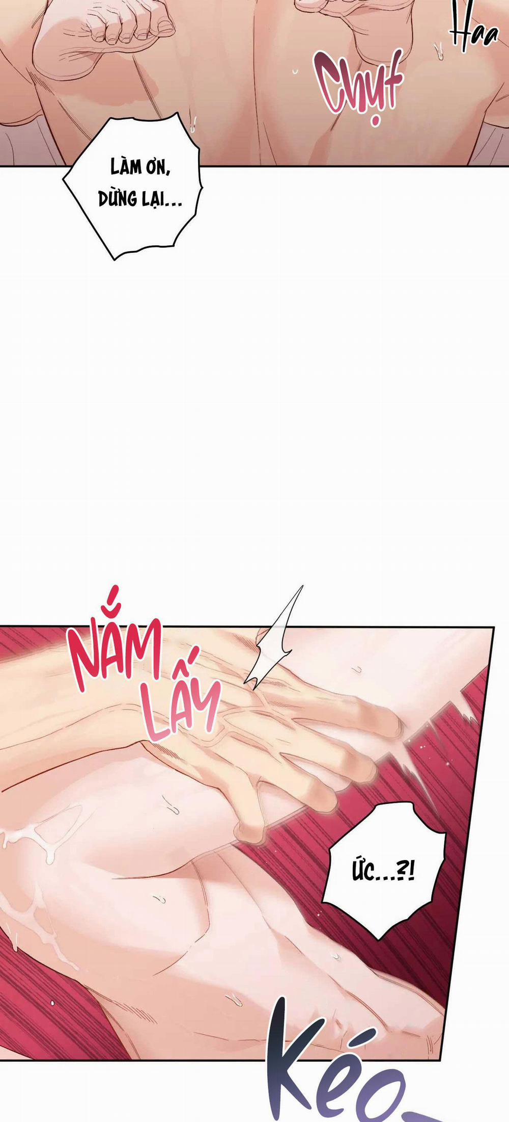 VẬN MỆNH CỦA CẬU LÀ GÌ? 4 trang 7