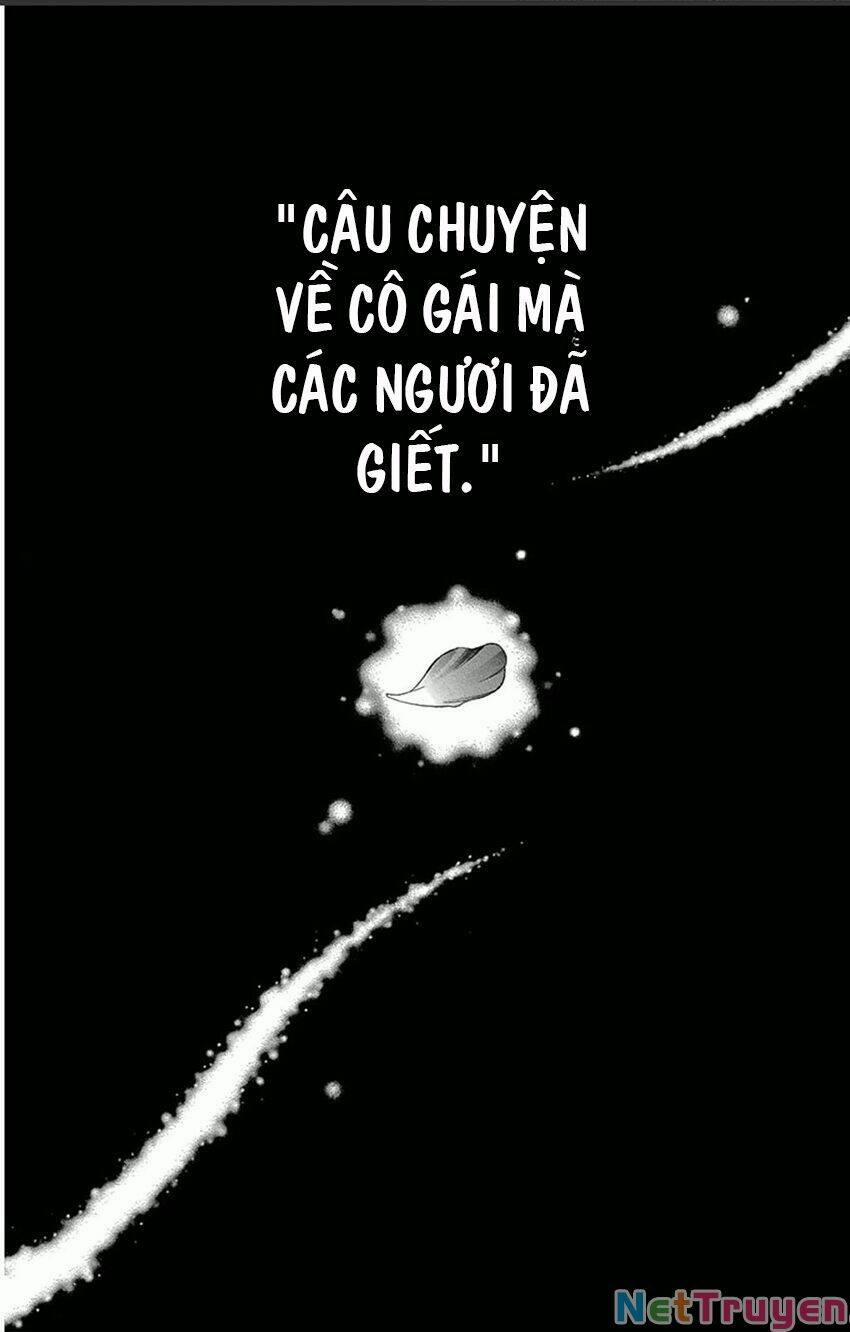 Vạn Niên Hoa 11.1 trang 6