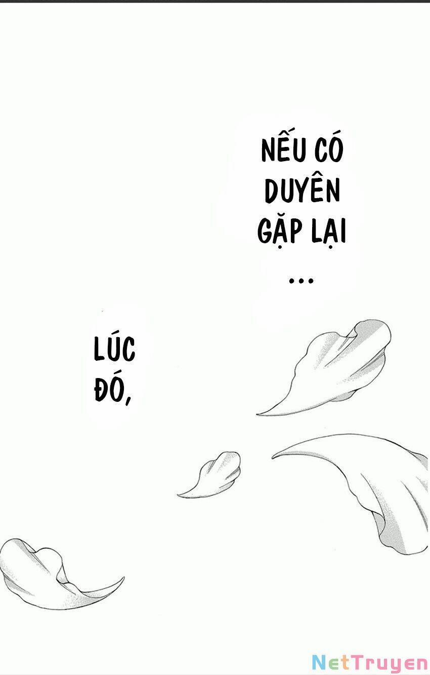 Vạn Niên Hoa 11.2 trang 24