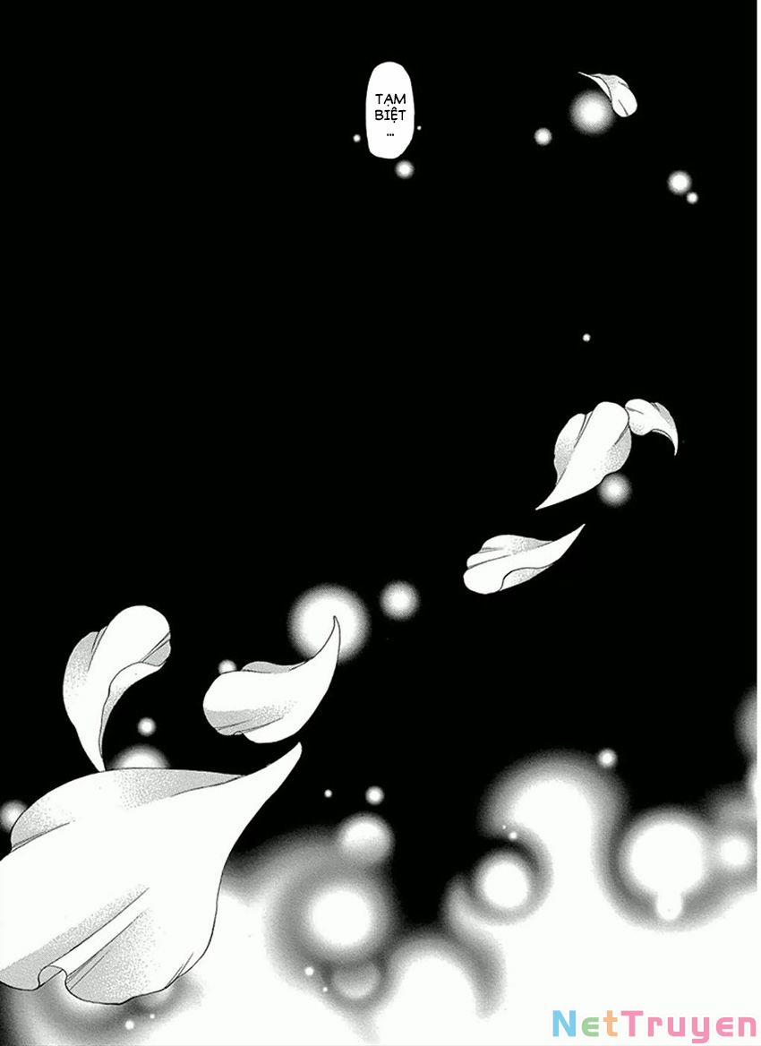 Vạn Niên Hoa 14.1 trang 37