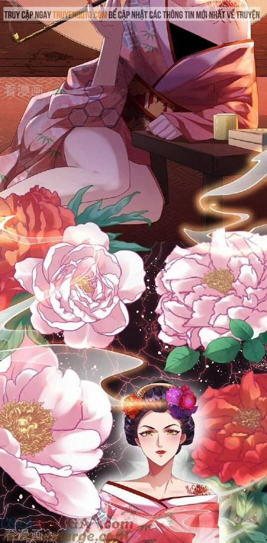 Vạn Tra Triêu Hoàng 707 trang 13