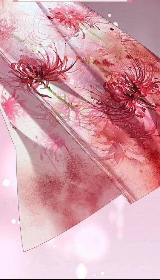 Vạn Tra Triêu Hoàng 707 trang 15