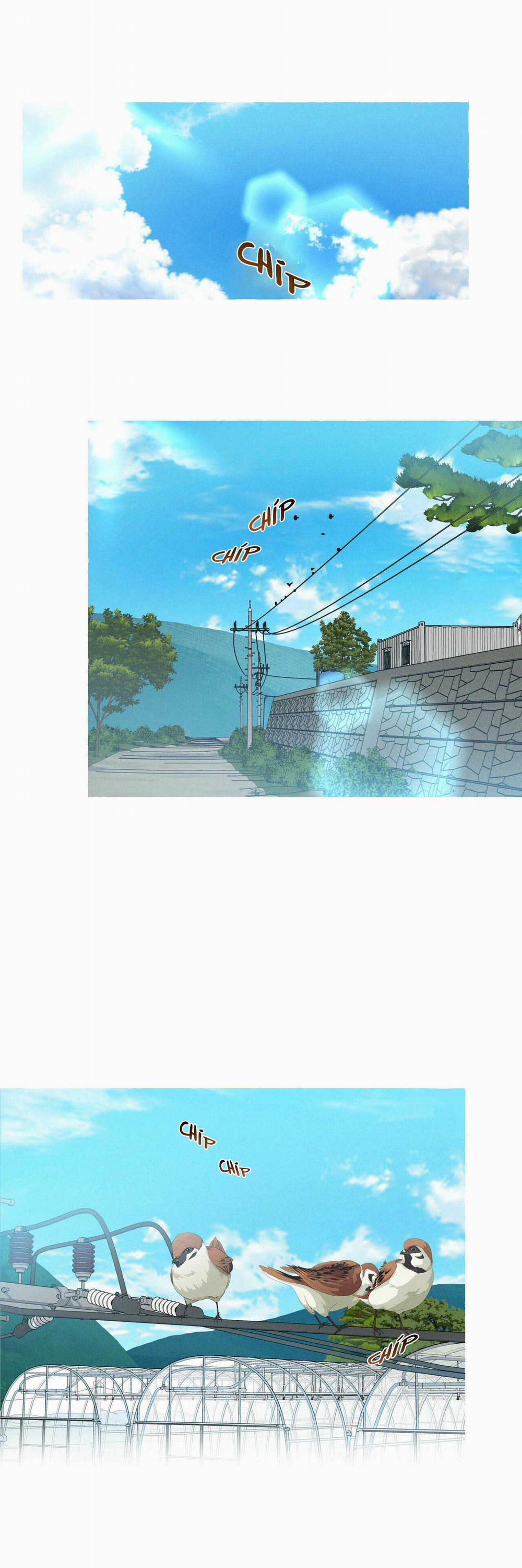 Vanilla Ngọt Ngào (SM) 13 trang 0