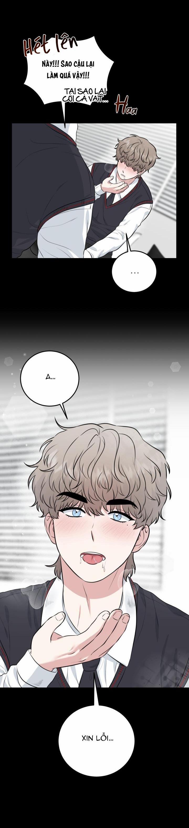 Vẻ Đẹp Bên Trong 12 trang 11