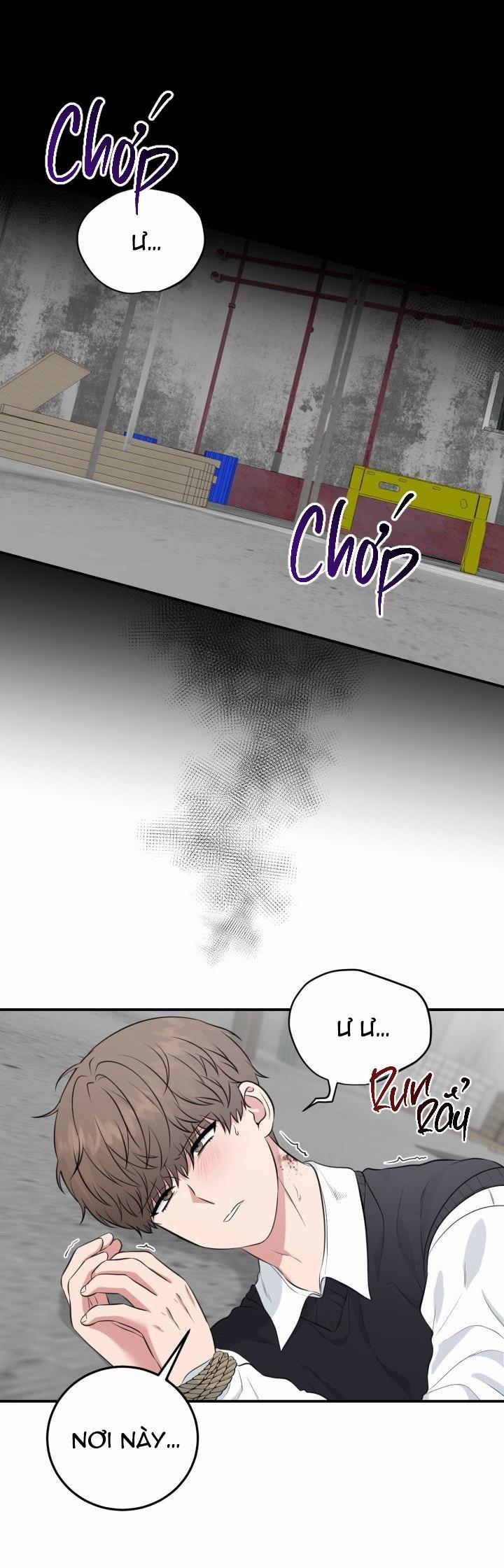 Vẻ Đẹp Bên Trong 15 trang 2