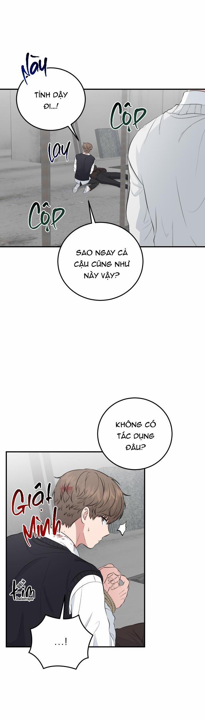 Vẻ Đẹp Bên Trong 15 trang 7