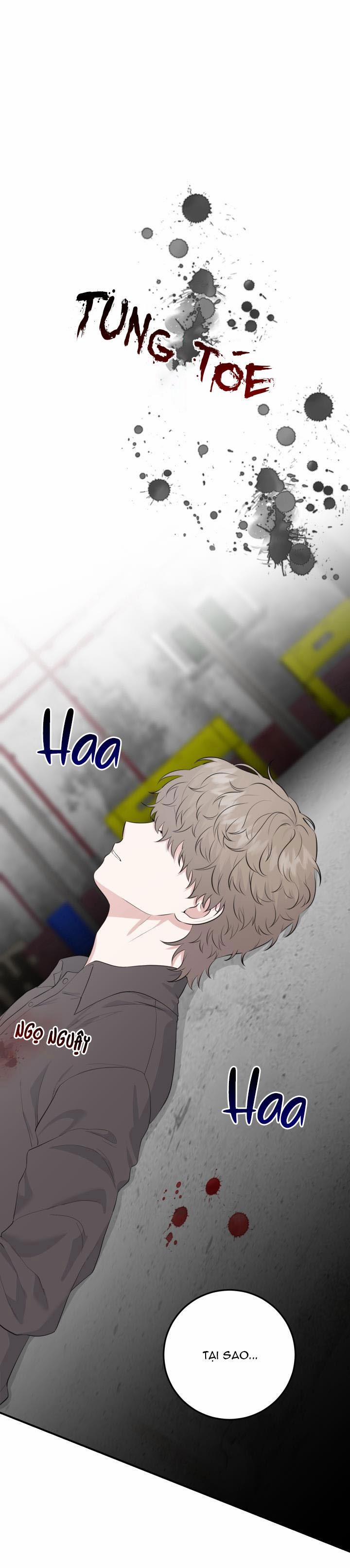 Vẻ Đẹp Bên Trong 16 trang 1