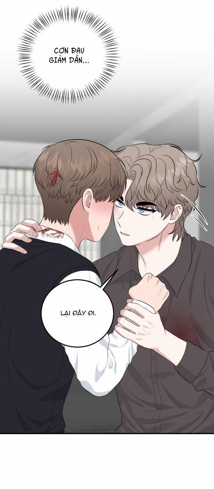 Vẻ Đẹp Bên Trong 16 trang 14