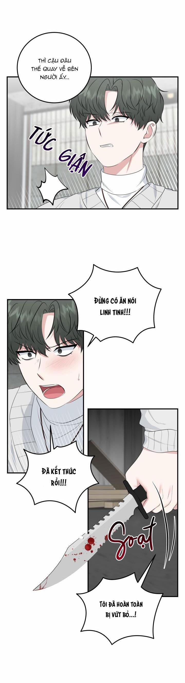 Vẻ Đẹp Bên Trong 16 trang 6