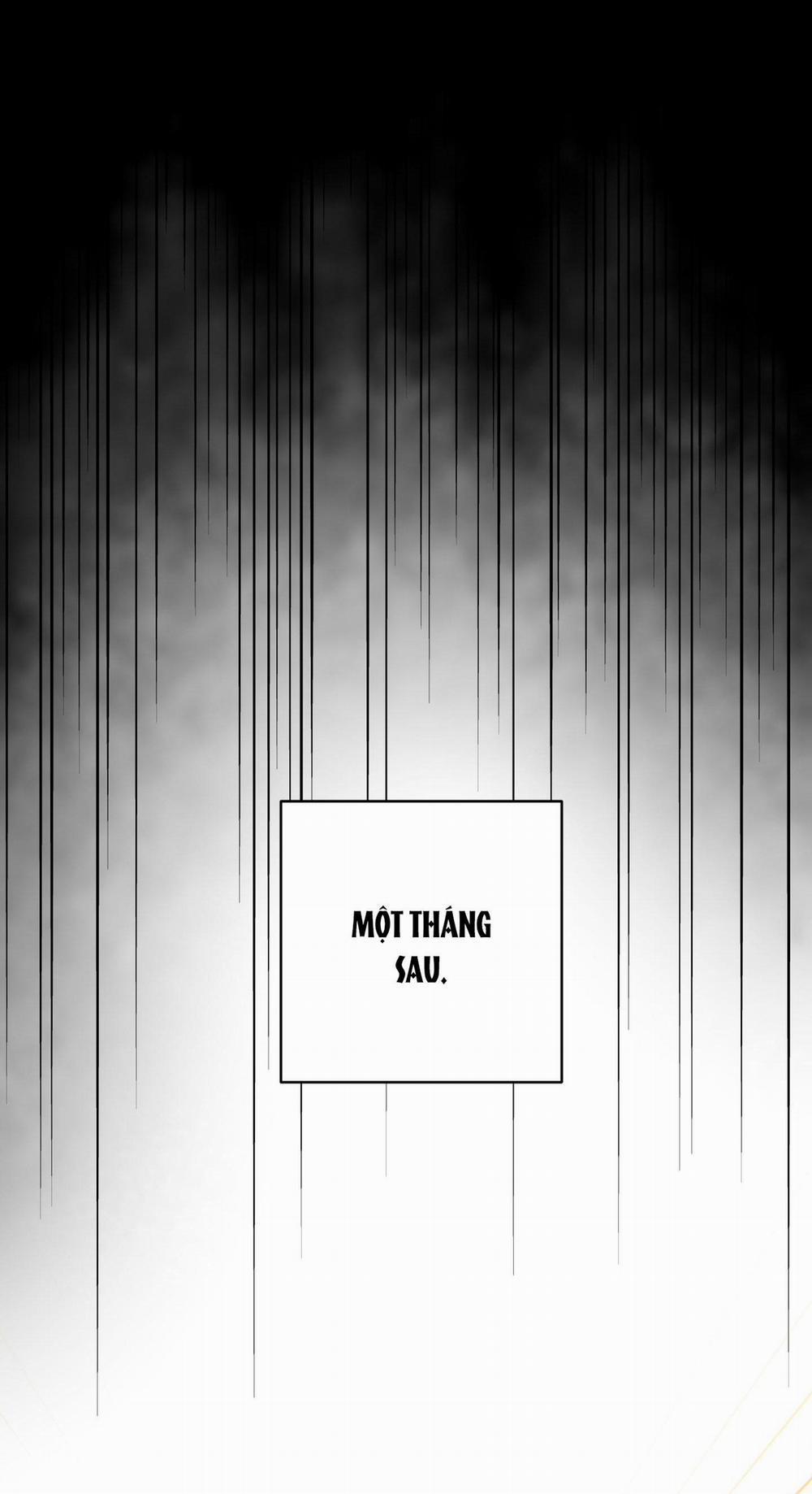 Vẻ Đẹp Bên Trong 17 trang 36