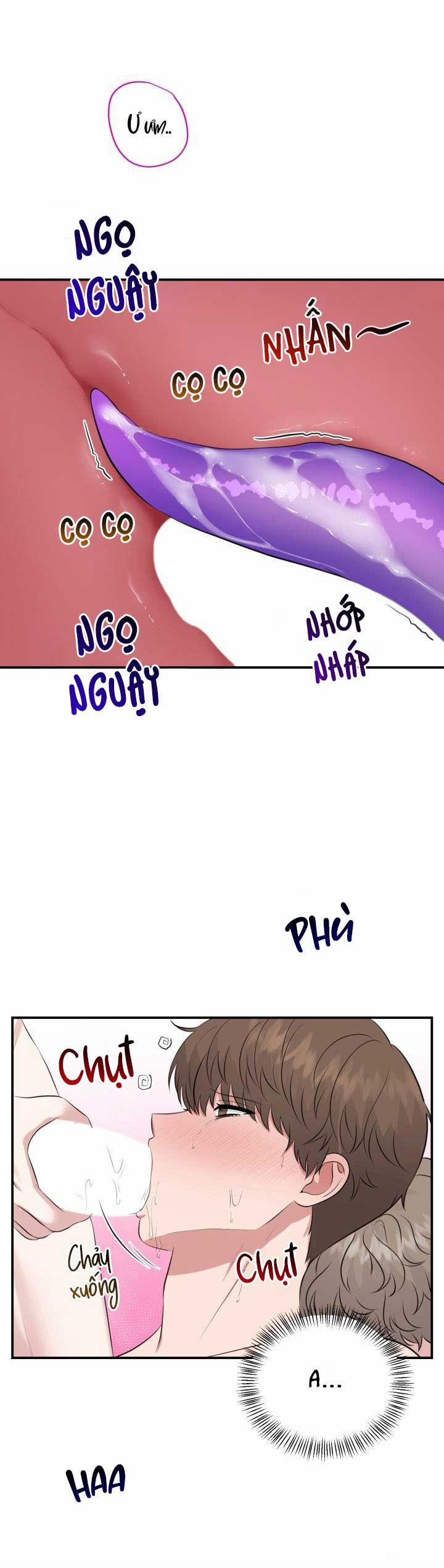 Vẻ Đẹp Bên Trong 17 trang 5