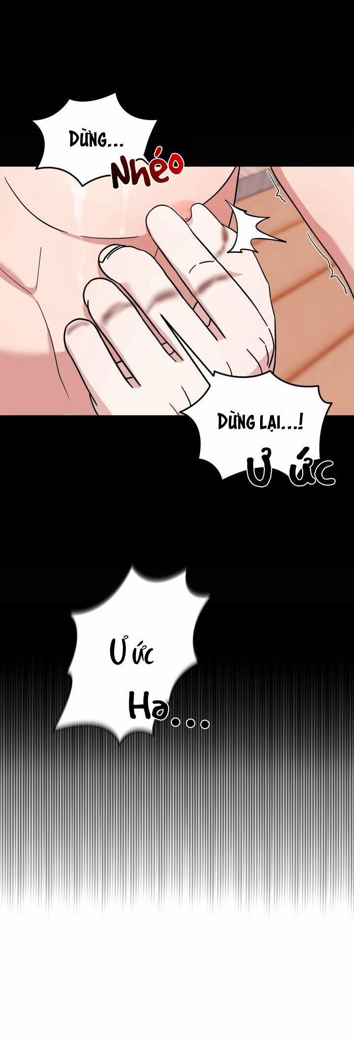 Vẻ Đẹp Bên Trong 2 trang 1