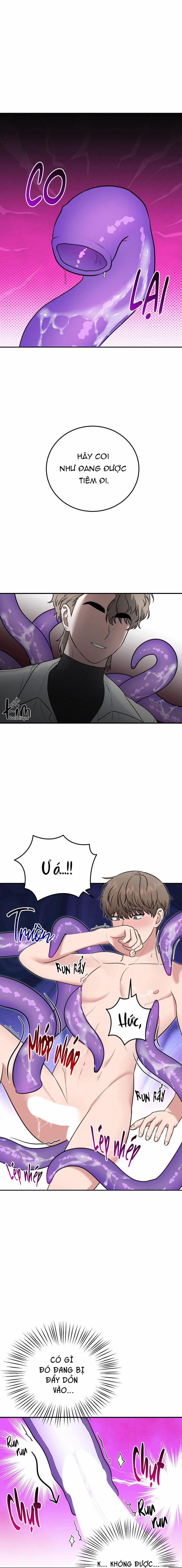 Vẻ Đẹp Bên Trong 5 trang 17