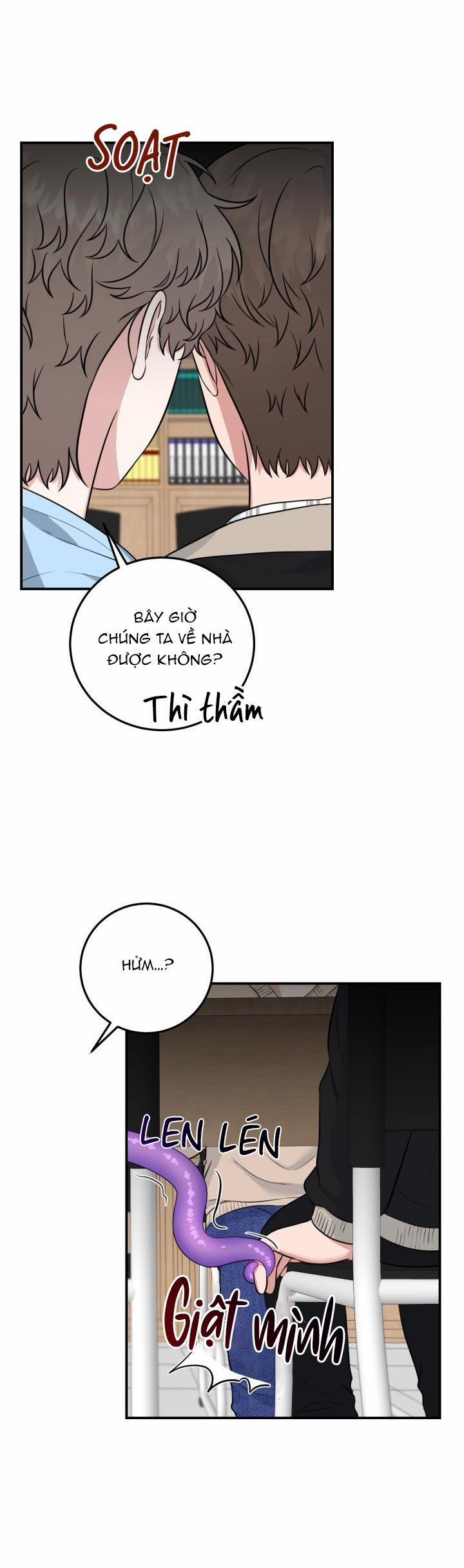 Vẻ Đẹp Bên Trong 8 trang 16