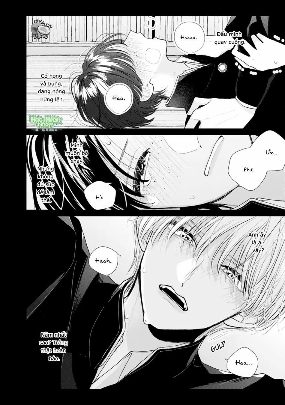 Veil Blue And Bouquet Of Gardenias 3 trang 12