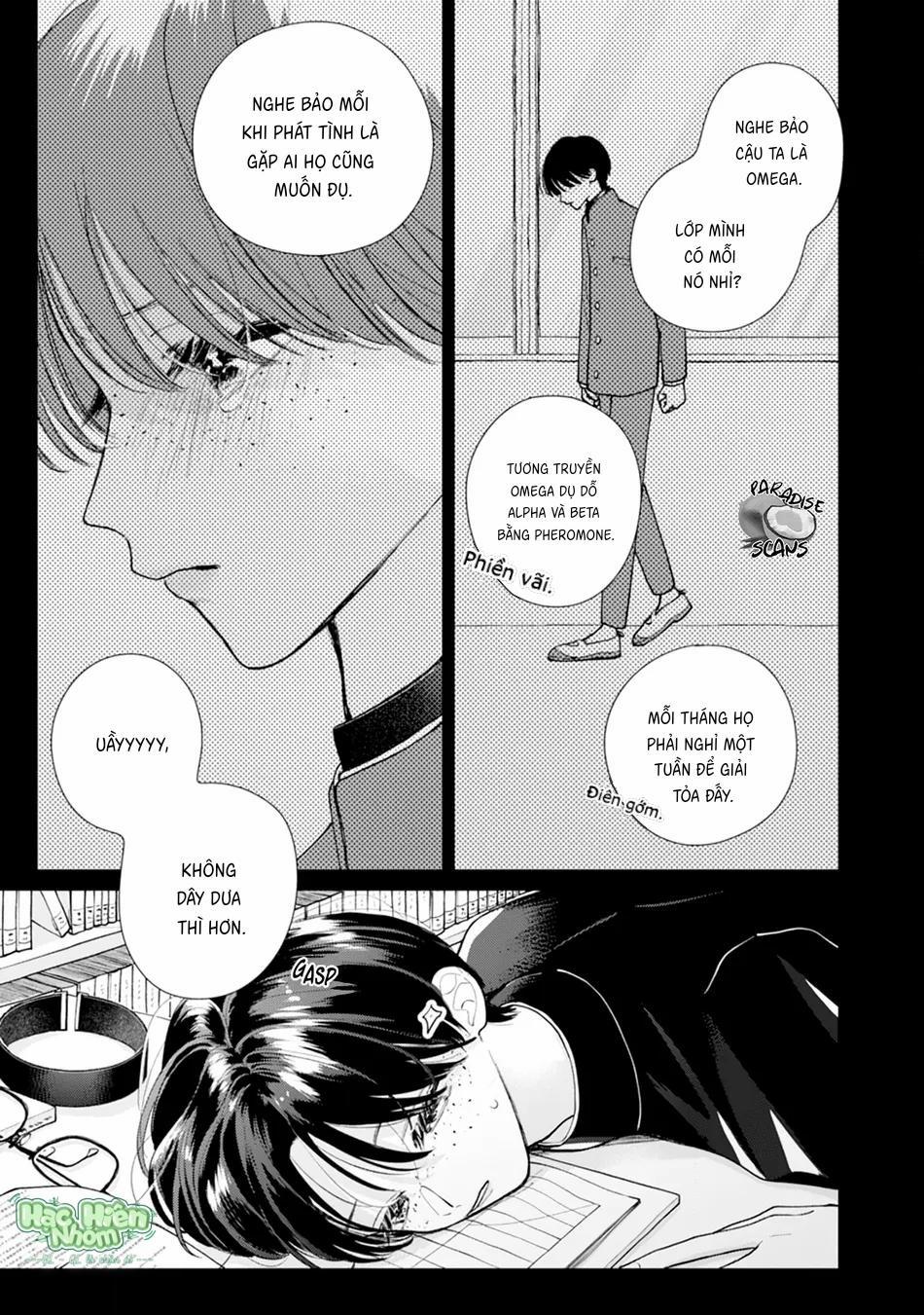 Veil Blue And Bouquet Of Gardenias 3 trang 5