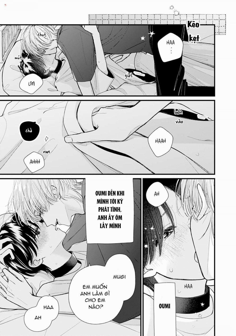 Veil Blue And Gardenia Bouquet 1 trang 11