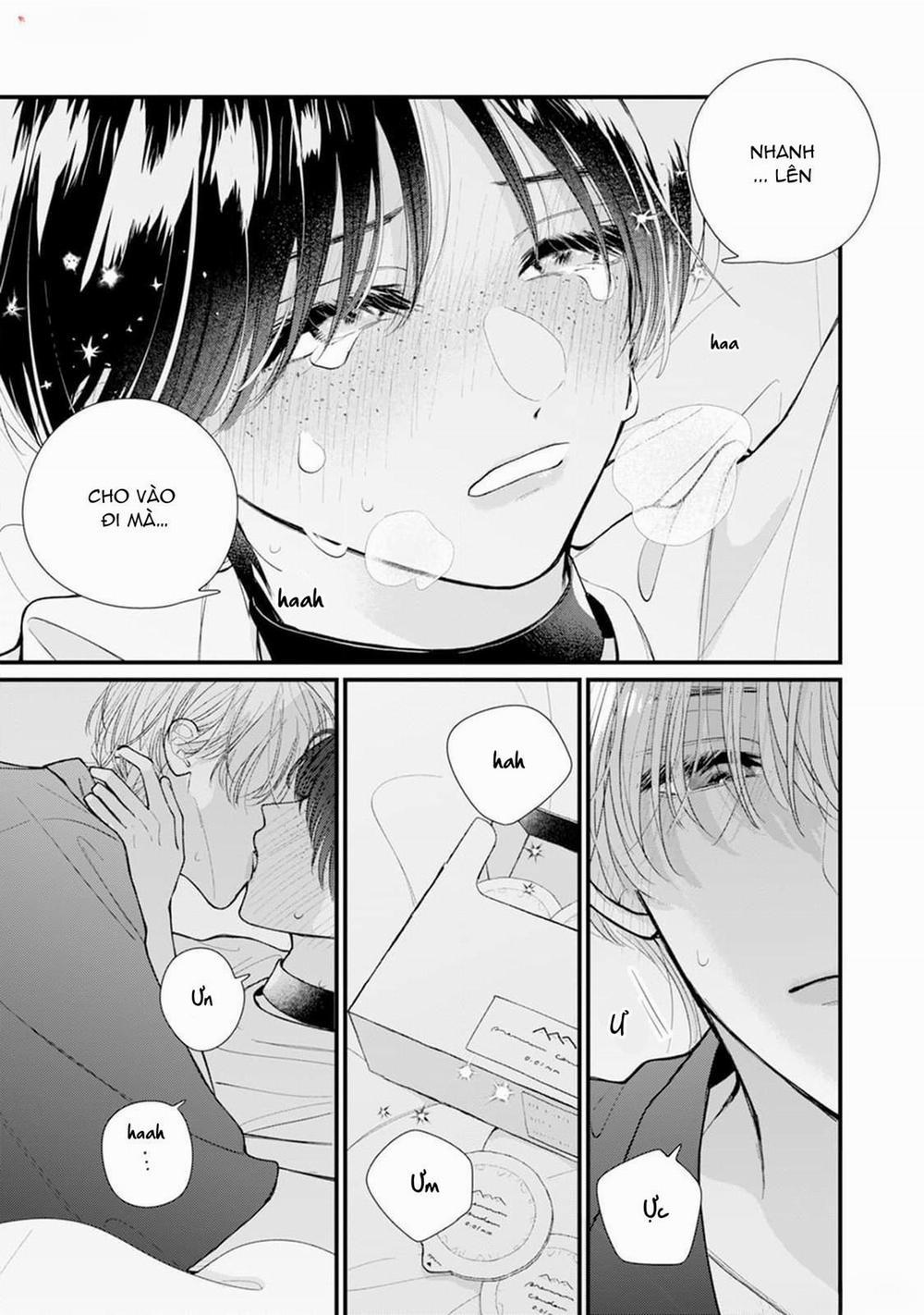 Veil Blue And Gardenia Bouquet 1 trang 17