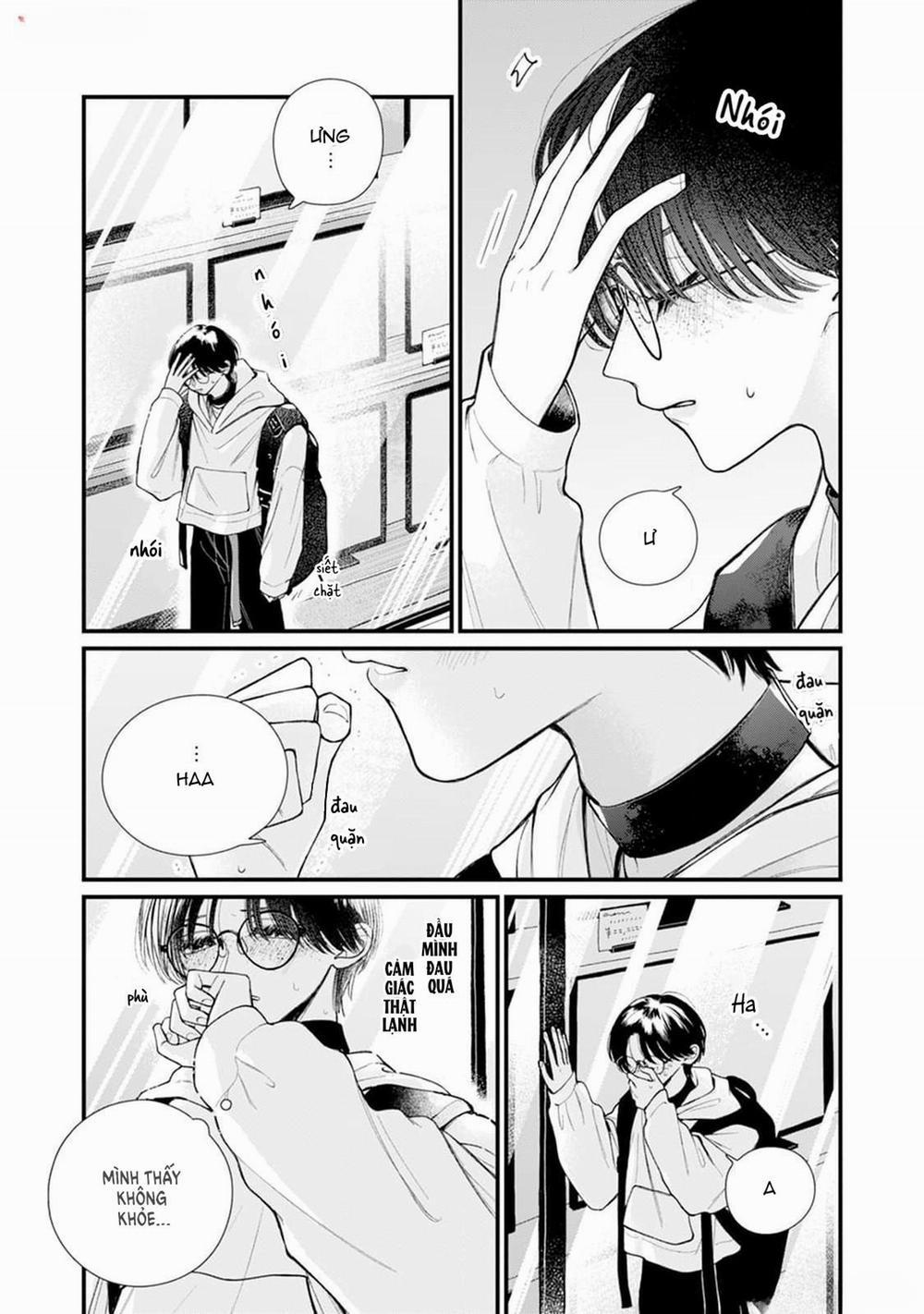 Veil Blue And Gardenia Bouquet 1 trang 4