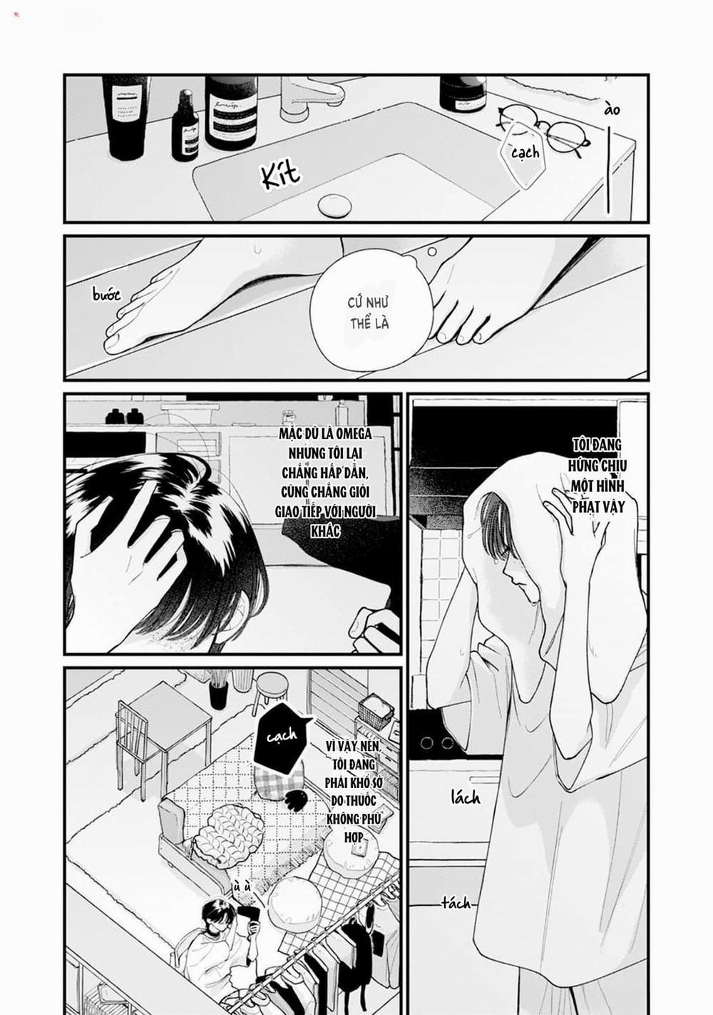 Veil Blue And Gardenia Bouquet 1 trang 7