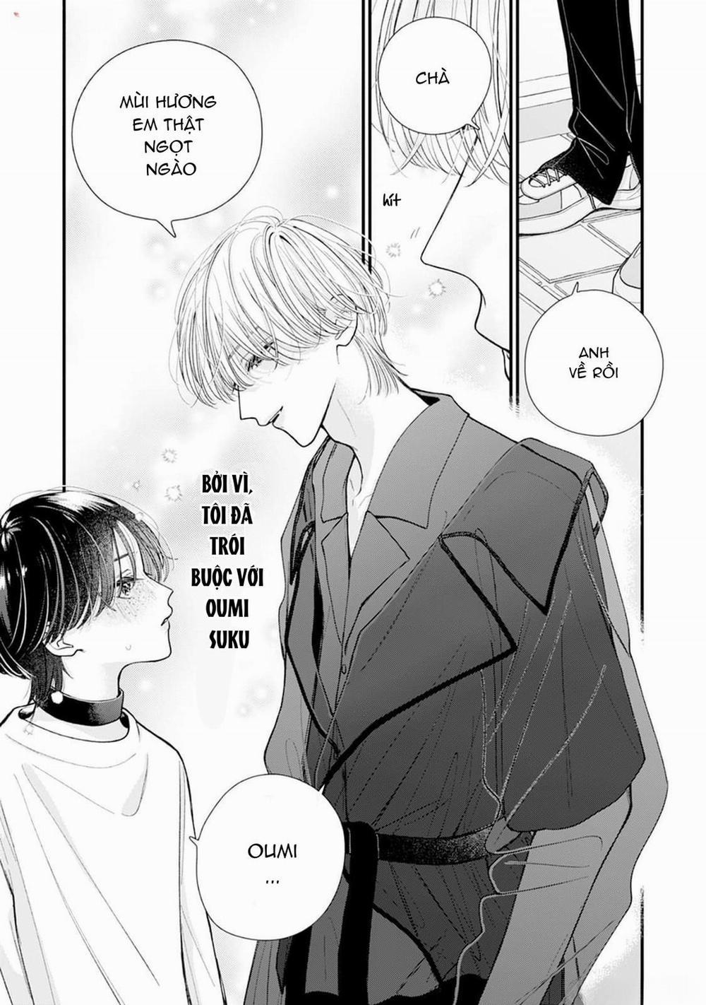 Veil Blue And Gardenia Bouquet 1 trang 8