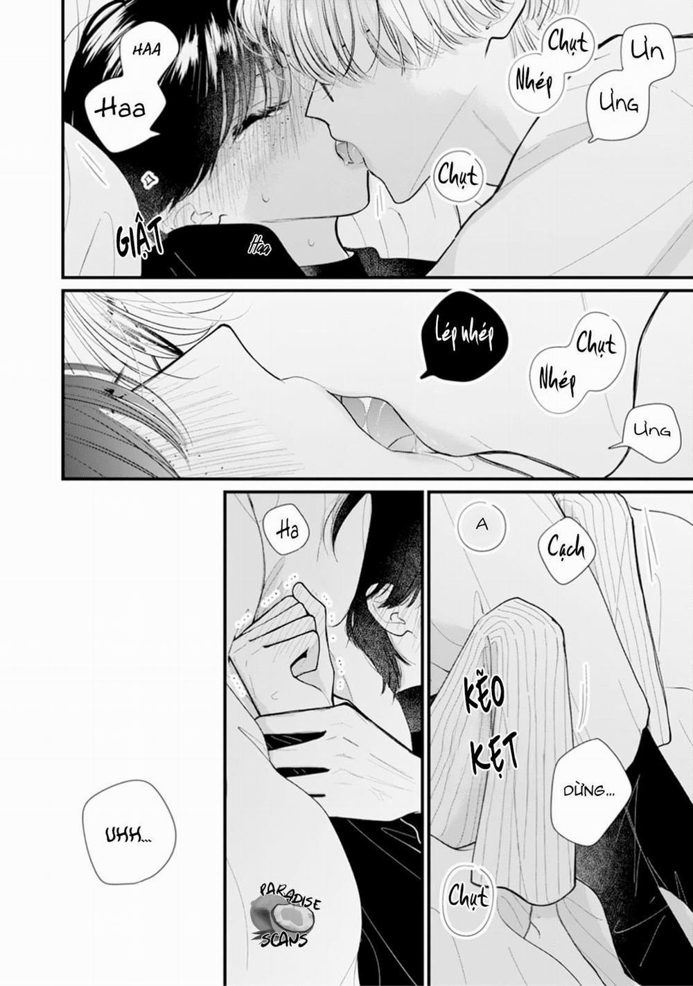 Veil Blue And Gardenia Bouquet 2 trang 20