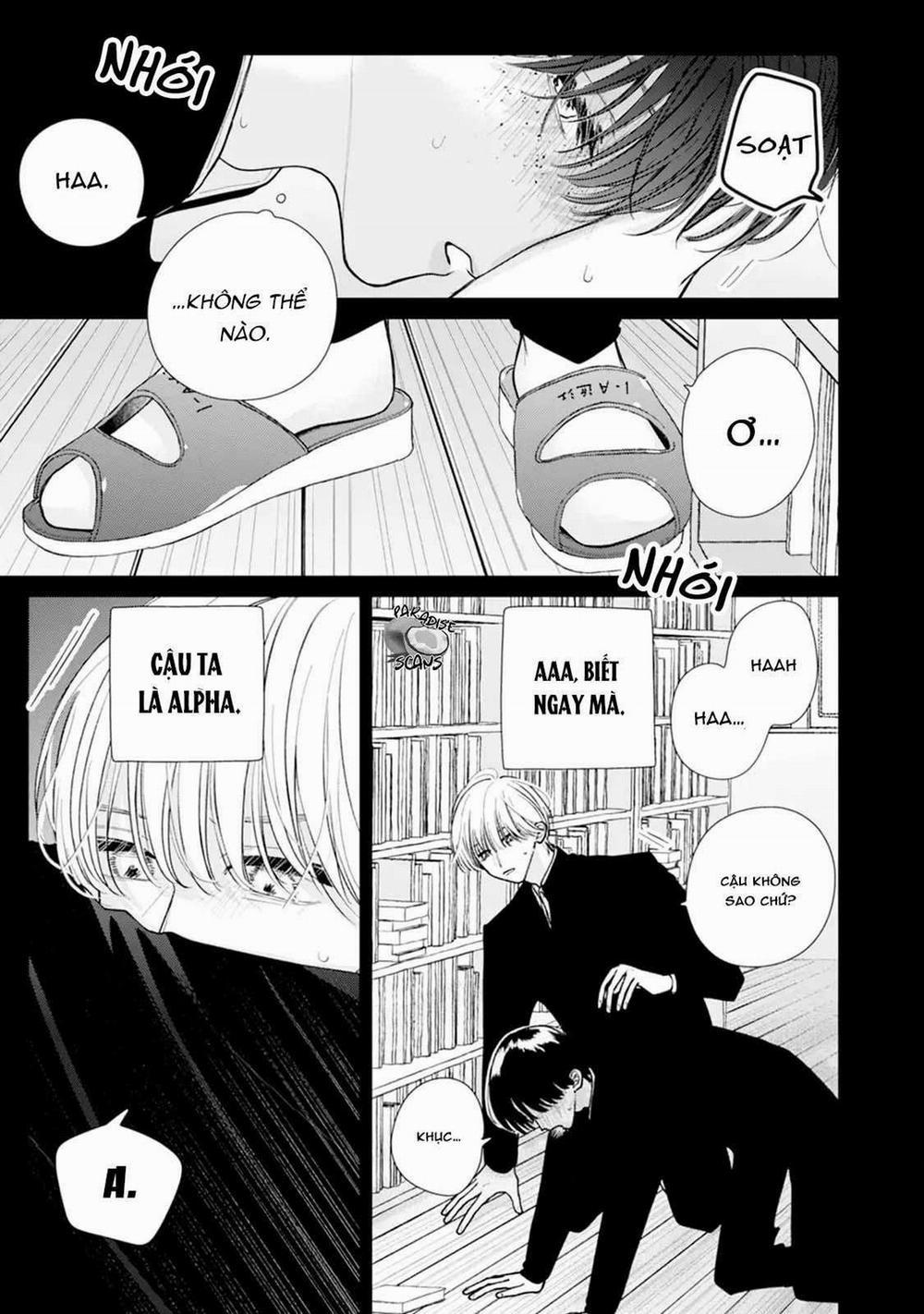 Veil Blue And Gardenia Bouquet 3 trang 11