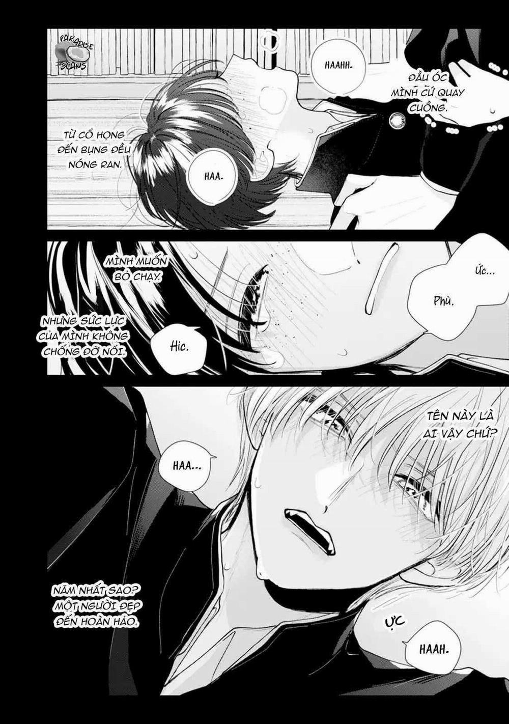 Veil Blue And Gardenia Bouquet 3 trang 14