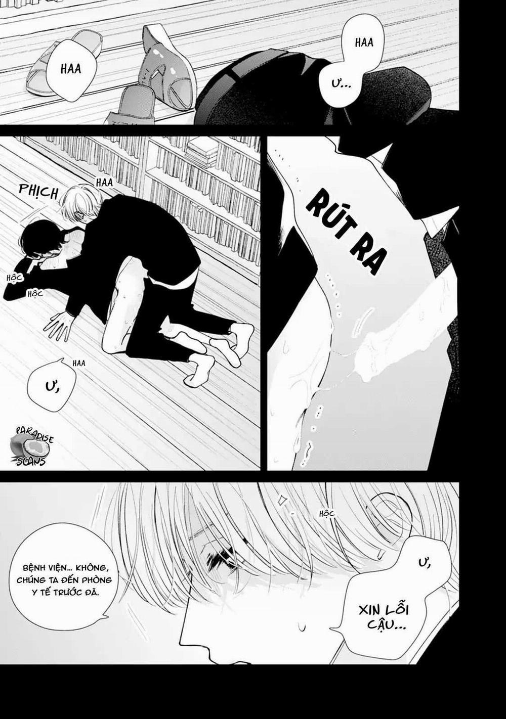 Veil Blue And Gardenia Bouquet 3 trang 23