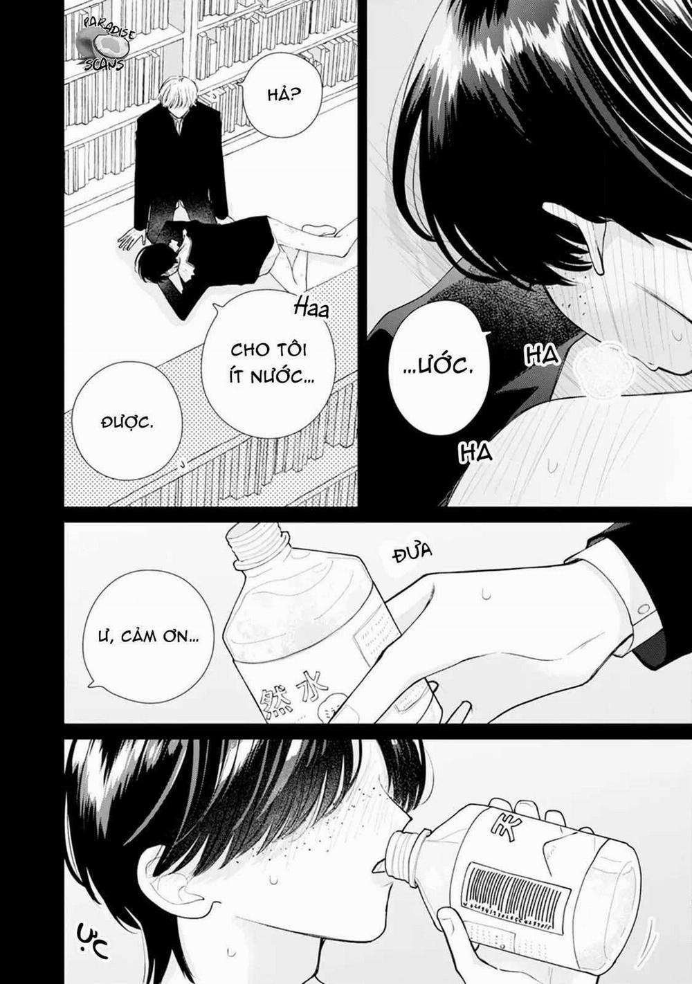 Veil Blue And Gardenia Bouquet 3 trang 24