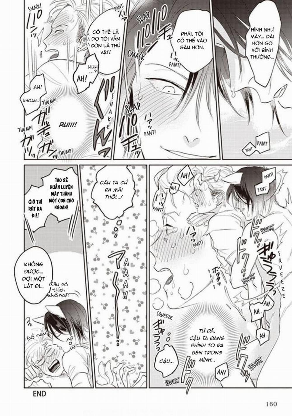 Vết Cắn Ma Cà Rồng 6 trang 5