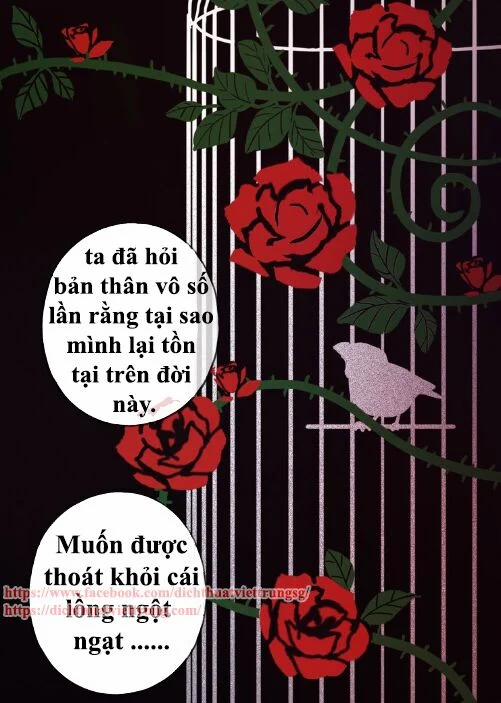 Vết Cắn Ngọt Ngào 3 38 trang 12