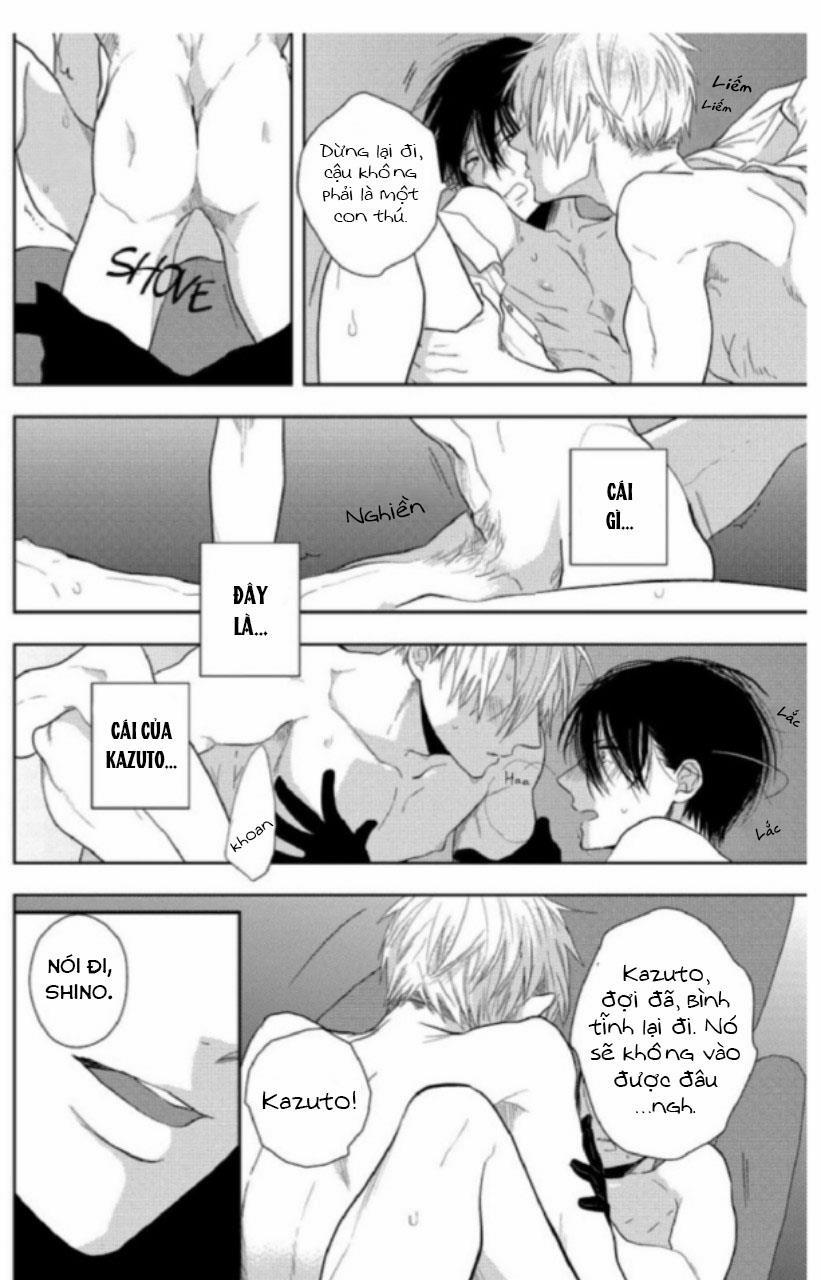 Vết Cắn Ngọt Ngào Damy 2 trang 24