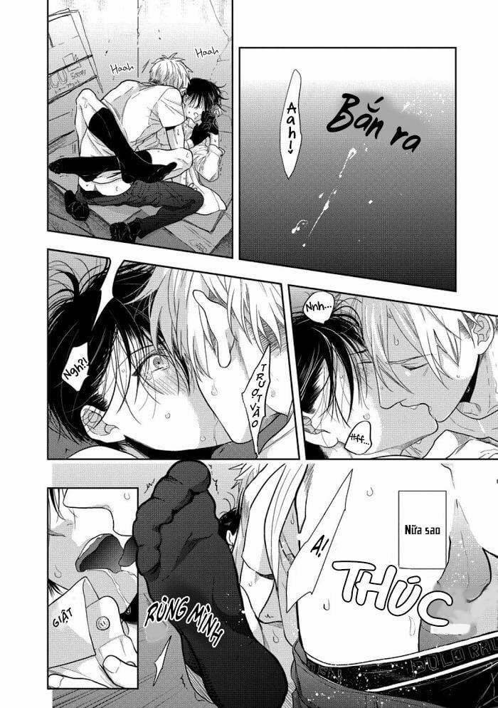 Vết Cắn Ngọt Ngào Damy 4 trang 16