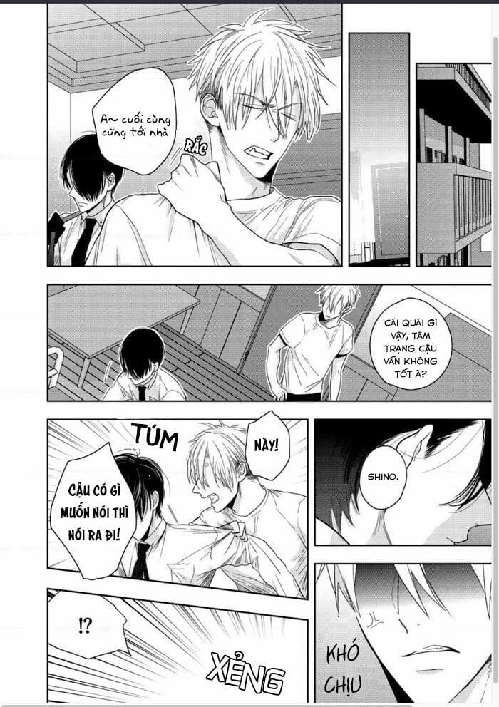 Vết Cắn Ngọt Ngào Damy 5 trang 19