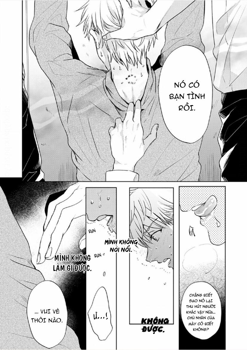 Vết Cắn Tình Đầu 1 trang 19