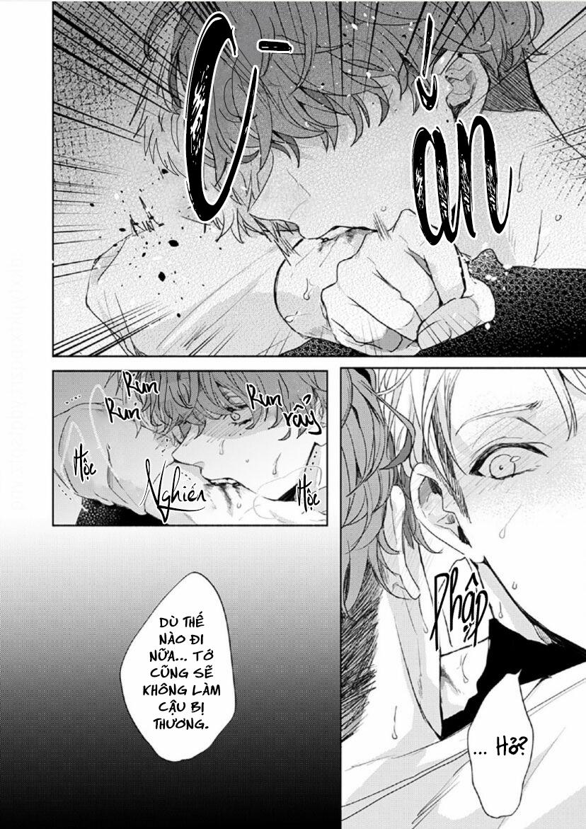 Vết Cắn Tình Đầu 3 trang 1